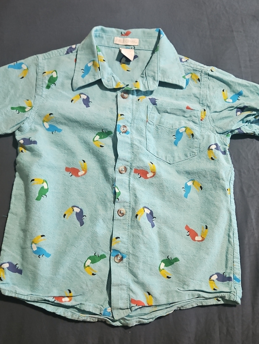 Falls Creek Light Teal Toucan-Print Button-Down Shirt